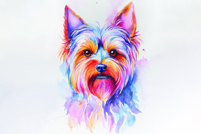 Papier peint  Aquarelle colorée d’un chien Yorkshire Terrier