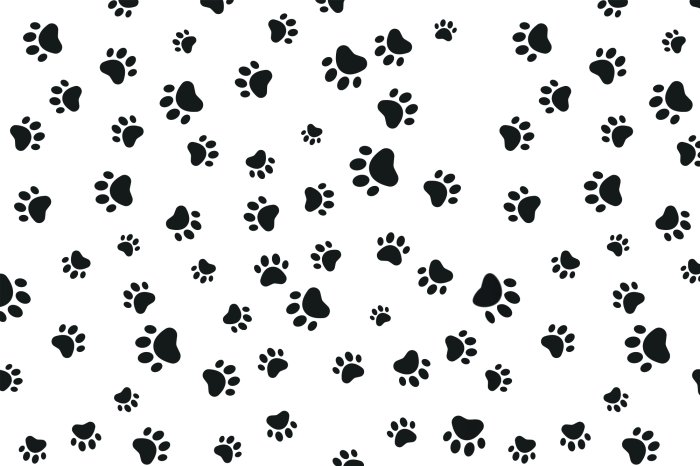 Papier peint  Pattes noires de chiens sur fond blanc