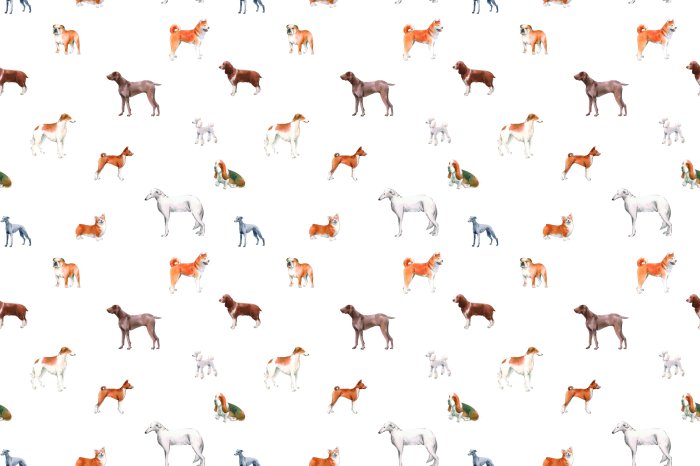 Papier peint  Chiens de race variés sur fond blanc