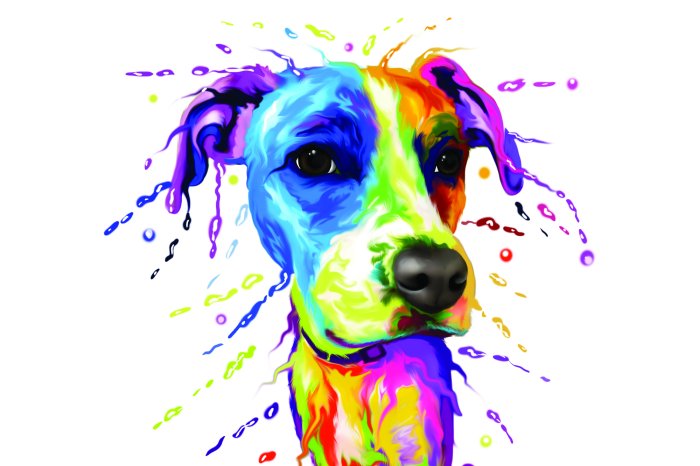 Papier peint  Portrait coloré de chien à l'aquarelle