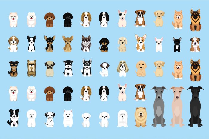 Papier peint  Chiens de race sur fond bleu