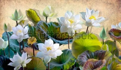 Papier peint  Illustration numérique d'une floraison des fleurs de lotus blanc avec des feuilles vertes sur un fond de murs beiges dans le grenier. Papiers peints et peintures murales pour l'impression inté