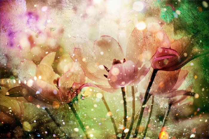 Papier peint  Tulipes dans une version moderne