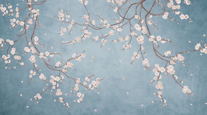 Papier peint  Fleurs de cerisier blanches sur les branches