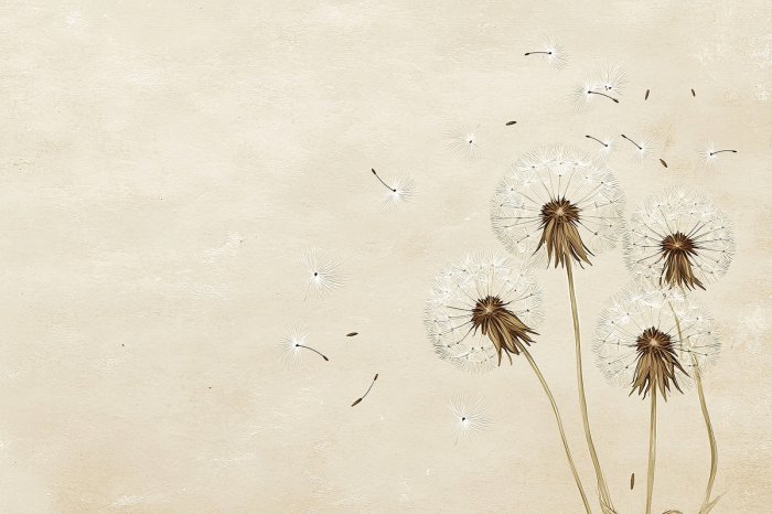 Papier peint  Pissenlits avec des graines flottant au vent