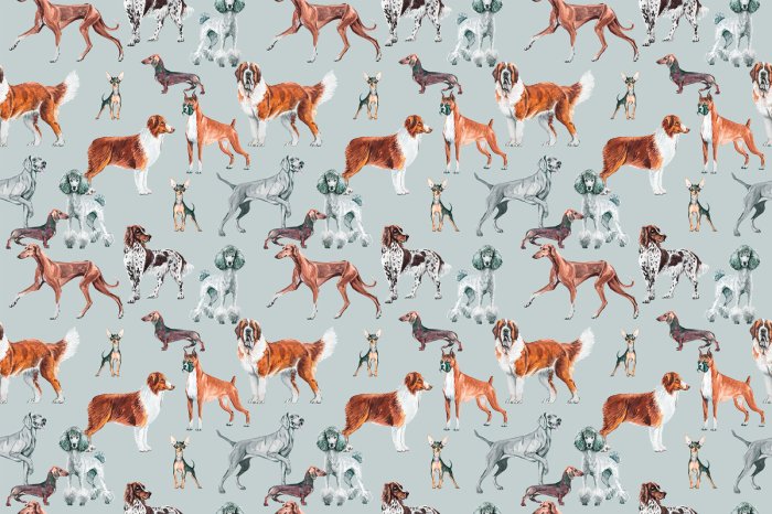 Papier peint  Différentes races de chiens illustration style aquarelle