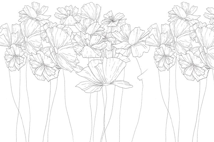 Papier peint  Fleurs sauvages esquissées sur fond blanc