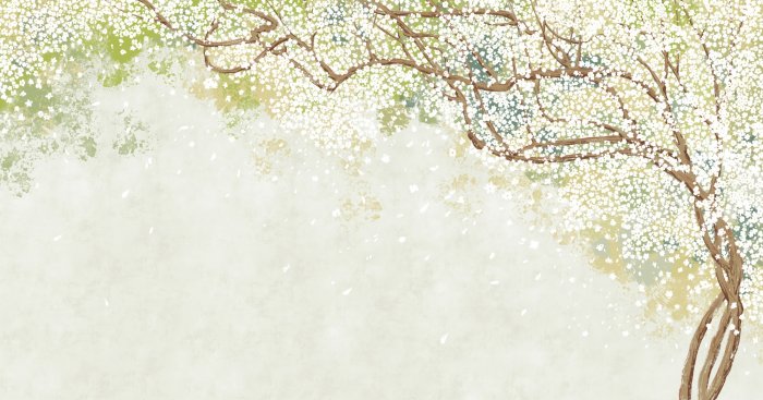 Papier peint  Arbre en fleurs avec des fleurs blanches