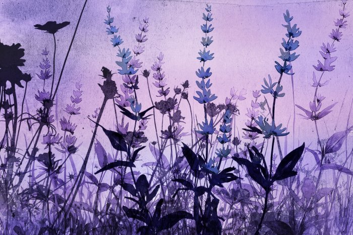 Papier peint  Prairie avec des fleurs de lavande roses