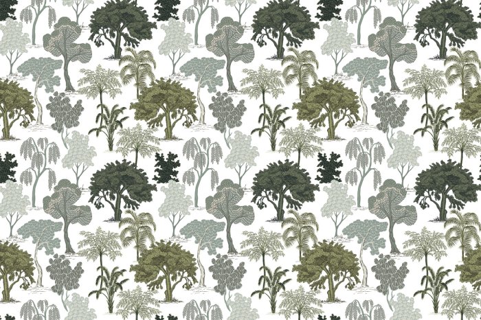 Papier peint  Arbres sauvages dans la jungle tropicale