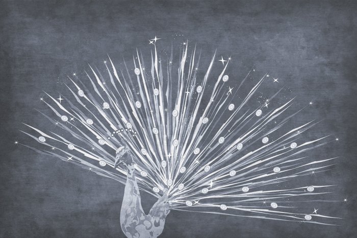 Papier peint  Dessin abstrait d’un paon