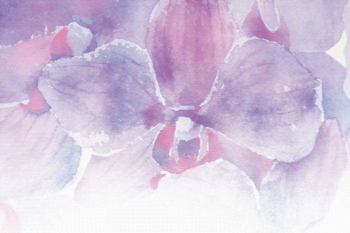 Papier peint  Orchidée en aquarelle dans les tons de rose et de violet