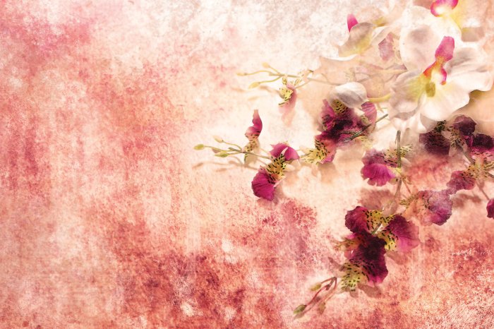 Papier peint  Fleurs abstraites d'orchidée rose