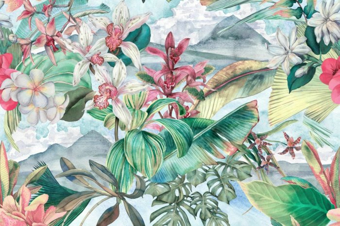 Papier peint  Orchidées colorées avec des feuilles de monstera