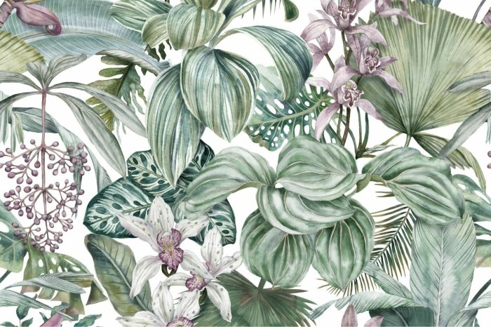 Papier peint  Orchidées parmi la végétation luxuriante