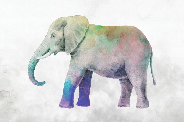 Papier peint  Éléphant coloré en aquarelle
