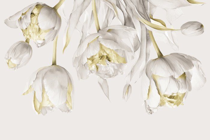 Papier peint  Tulipes beige suspendues