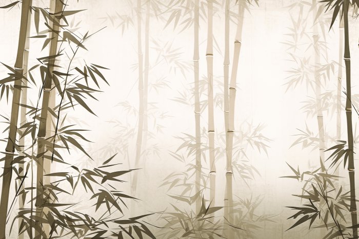 Papier peint  Paysage de forêt de bambous