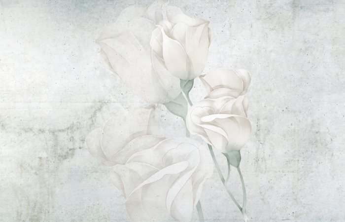 Papier peint  Fleurs de roses blanches sur fond en béton
