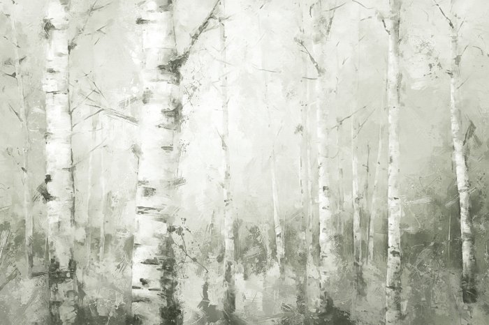 Papier peint  Paysage pittoresque de forêt de bouleaux