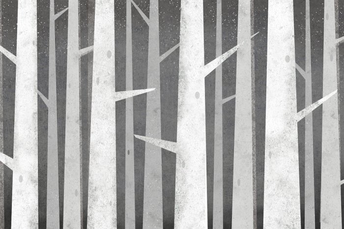 Papier peint  Troncs de bouleau gris avec des branches épineuses