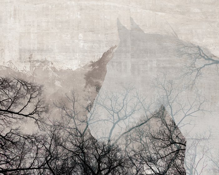 Papier peint  Silhouette d’un cheval parmi les arbres