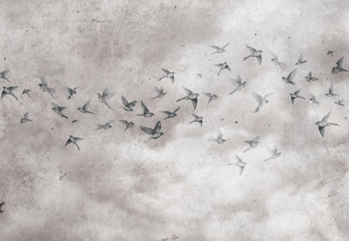 Papier peint  Oiseaux sur fond en béton de style loft