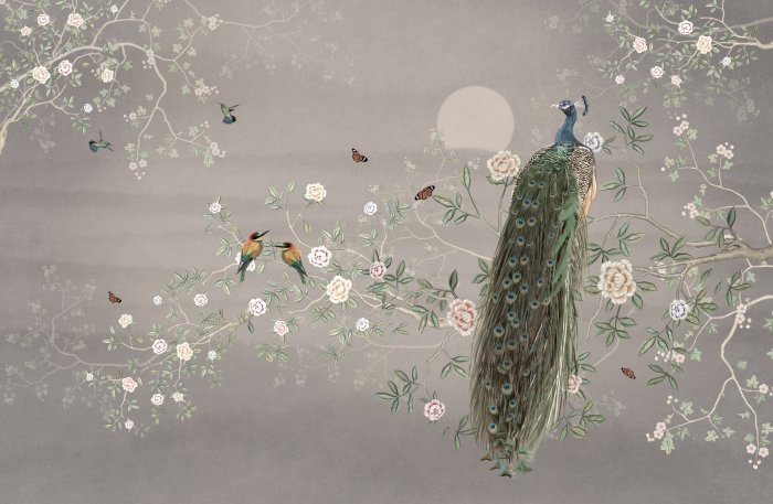 Papier peint  Paon et colibris parmi les fleurs en fleurs sur une branche d’arbre