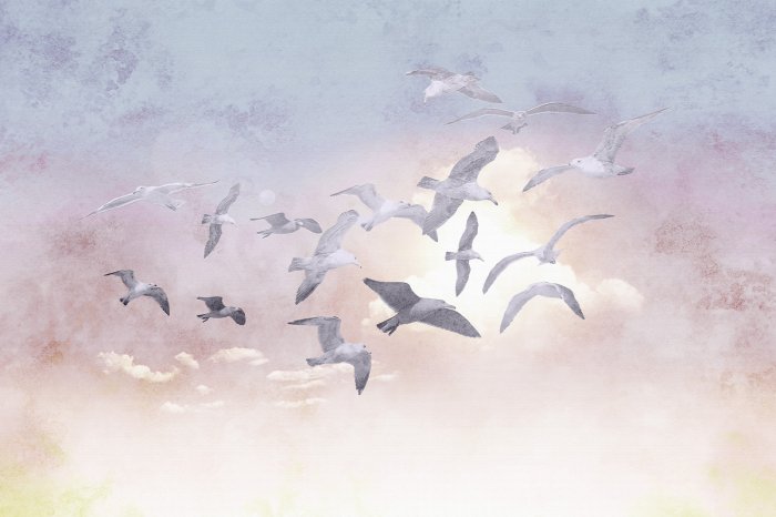 Papier peint  Oiseaux volant sur un ciel délicat