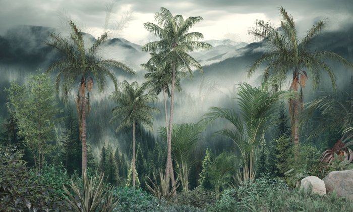 Papier peint  Palmiers et conifères dans un paysage tropical vert