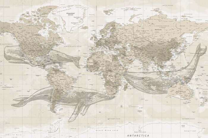 Papier peint  Baleines et carte du monde en style vintage