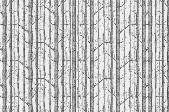 Papier peint  Bouleaux dans un paysage minimaliste