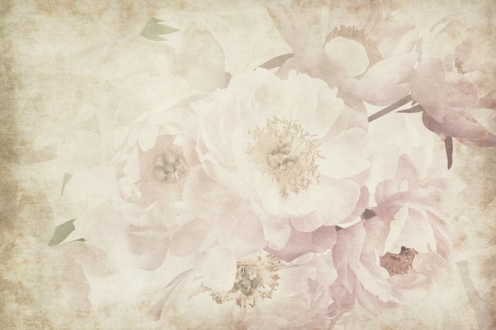 Papier peint  Pivoines romantiques en style rétro