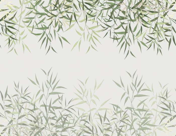 Papier peint  Pousses de bambou vertes sur fond clair