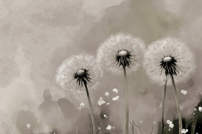 Papier peint  Pissenlits artistiques sur fond texturé