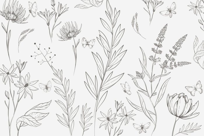 Papier peint  Papillons et plantes sauvages en style minimaliste, motif naturel