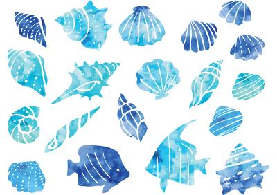 Sticker  Coquillages et poissons bleus dans le style aquarelle
