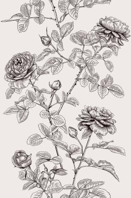 Sticker  Illustration en noir et blanc de branches de roses
