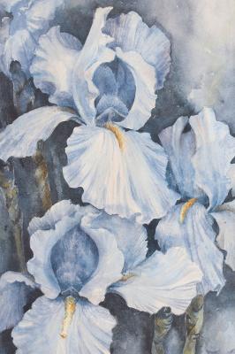 Sticker  Iris bleues dans le style aquarelle