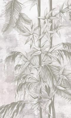 Sticker  Feuilles et tiges de bambou sur fond en béton