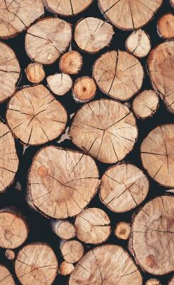 Sticker  Porte de bois