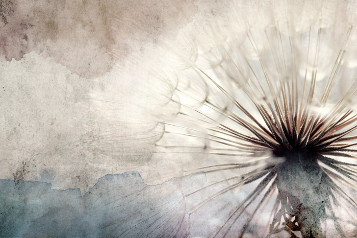 Tableau  Dandelions in the Clouds (1 Part) Wide