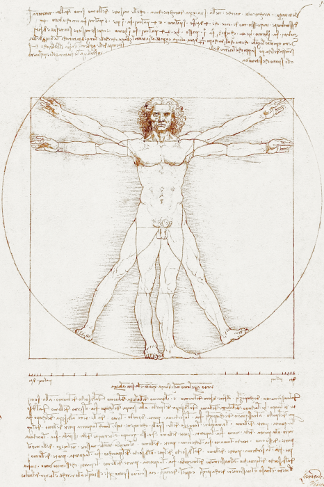 Tableau  Proportions mathématiques du corps humain selon Vitruve