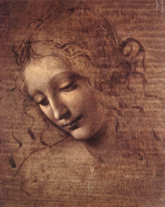 Tableau  Une belle femme à la coiffure luxuriante dans un portrait