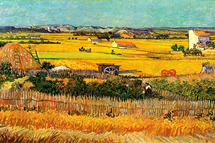 Tableau  Terres agricoles dorées sous le soleil d&#39;été