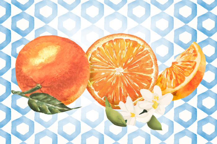 Tableau  Oranges peintes sur un fond géométrique