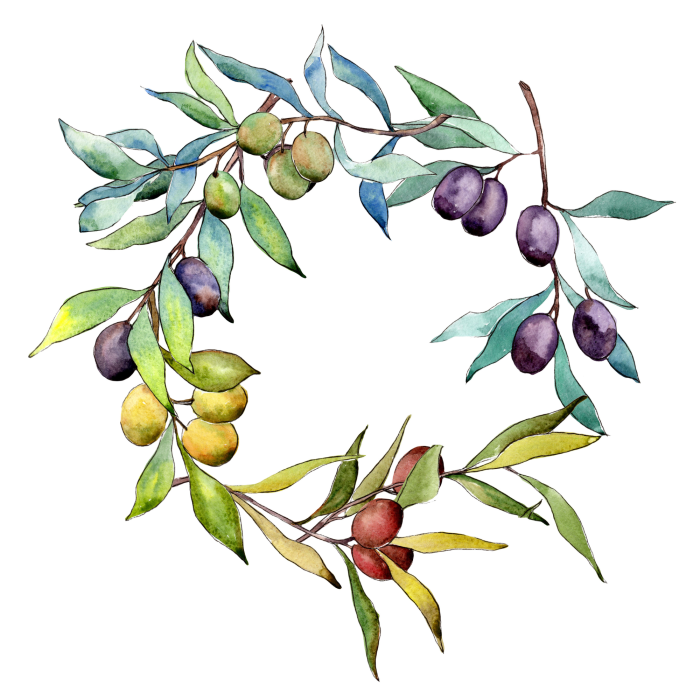 Tableau  Couronne d&#39;olivier aquarelle