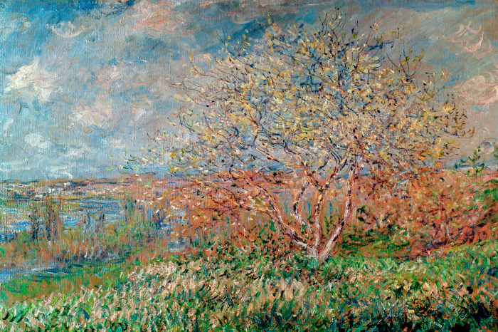 Tableau  Un arbre d&#39;automne recouvert de hautes herbes