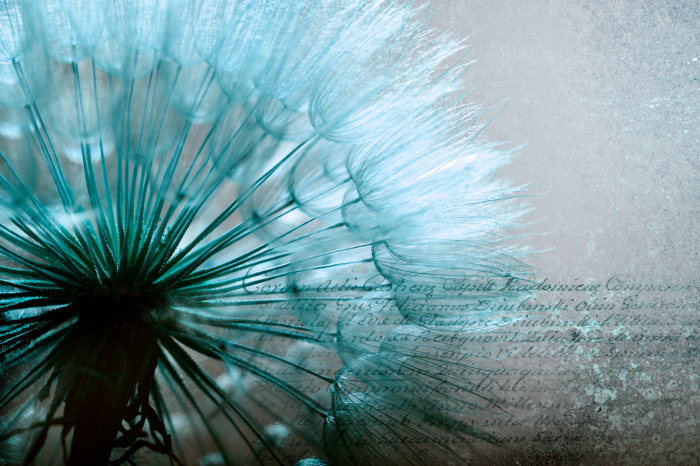 Tableau  Blue Gentleness