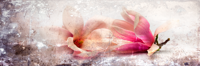 Tableau  Magnolia Story (1 Part) Narrow